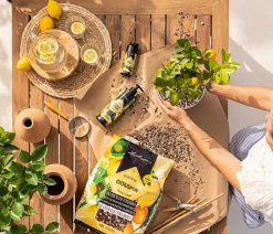 LECHUZA® Spezialerde - CITRUSPON Spezialsubstrat