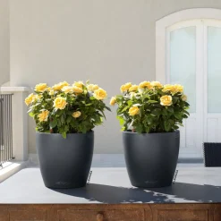 LECHUZA® Lechuza Pflanzgefäße & Töpfe|Blumentöpfe & Übertöpfe > CLASSICO Color, All-in-One-Set