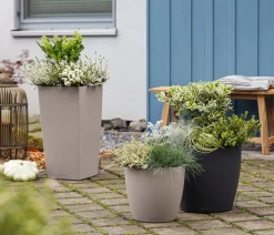 LECHUZA® Lechuza Pflanzgefäße & Töpfe|Blumentöpfe & Übertöpfe - CLASSICO Color, All-in-One-Set Taupe