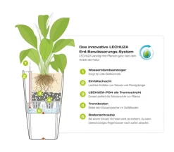 LECHUZA® CLASSICO LS, All-in-One-Set Dunkelrot Best