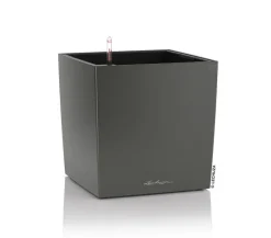 LECHUZA® Lechuza Tischgefäße|Lechuza Pflanzgefäße & Töpfe > CUBE, All-in-One Set