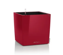 LECHUZA® CUBE, All-in-One Set Dunkelrot Best