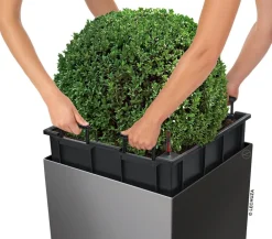 LECHUZA® CUBE, All-in-One Set Schwarz Hot