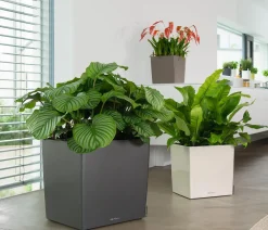LECHUZA® Lechuza Tischgefäße|Lechuza Pflanzgefäße & Töpfe - CUBE, All-in-One Set Weiß