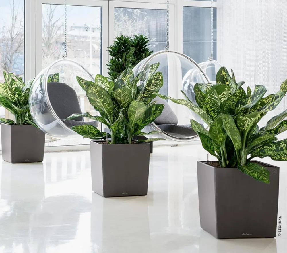 LECHUZA® Lechuza Tischgefäße|Lechuza Pflanzgefäße & Töpfe - CUBE, All-in-One Set Dunkelgrau