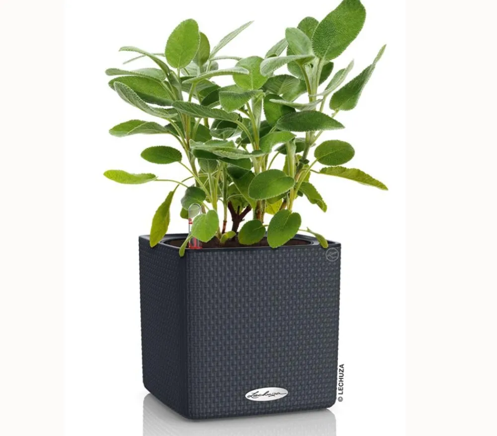 LECHUZA® Lechuza Tischgefäße|Lechuza Pflanzgefäße & Töpfe > CUBE Color, All-in-One Set