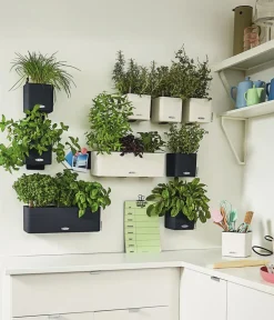 LECHUZA® Lechuza Pflanzgefäße & Töpfe > CUBE Color Green Wall Home Kit, ca. B48/H14/T15 cm