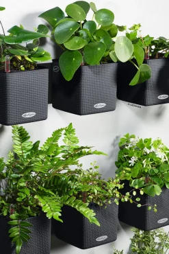 LECHUZA® Lechuza Pflanzgefäße & Töpfe > CUBE Color Green Wall Home Kit, ca. B48/H14/T15 cm