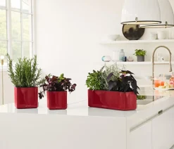 LECHUZA® Lechuza Pflanzgefäße & Töpfe > CUBE Glossy Triple, All-in-One Set, 40 cm
