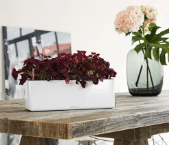 LECHUZA® CUBE Glossy Triple, All-in-One Set, 40 cm Weiß Online
