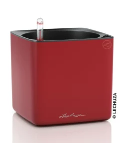 LECHUZA® Lechuza Tischgefäße|Lechuza Pflanzgefäße & Töpfe > CUBE Premium, All-in-One Set, matt