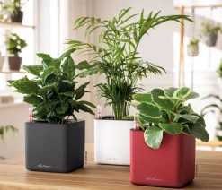 LECHUZA® Lechuza Tischgefäße|Lechuza Pflanzgefäße & Töpfe - CUBE Premium, All-in-One Set, matt Rot