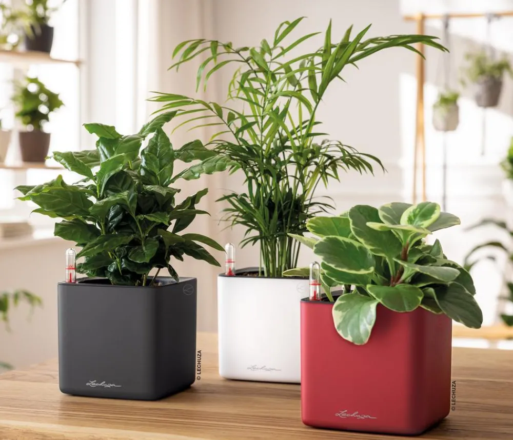 LECHUZA® Lechuza Tischgefäße|Lechuza Pflanzgefäße & Töpfe - CUBE Premium, All-in-One Set, matt Rot