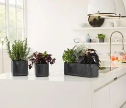 LECHUZA® Lechuza Tischgefäße|Lechuza Pflanzgefäße & Töpfe - CUBE Premium, All-in-One Set, hochglanz Dunkelgrau