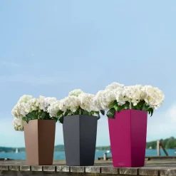 LECHUZA® Lechuza Pflanzgefäße & Töpfe|Blumentöpfe & Übertöpfe > CUBICO Color, All-in-One-Set