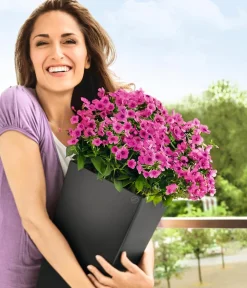 LECHUZA® CUBICO Color, All-in-One-Set Dunkelgrau