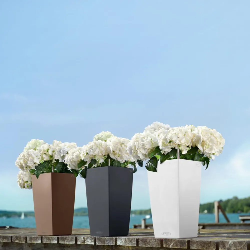 LECHUZA® Lechuza Pflanzgefäße & Töpfe|Blumentöpfe & Übertöpfe - CUBICO Color, All-in-One-Set Braun