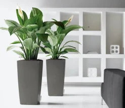 LECHUZA® Lechuza Pflanzgefäße & Töpfe|Blumentöpfe & Übertöpfe - CUBICO Premium, All-in-One-Set Dunkelgrau