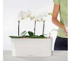 LECHUZA® Lechuza Pflanzgefäße & Töpfe|Pflanzkübel & Blumenkästen > DELTA, All-in-One-Set, hochglanz