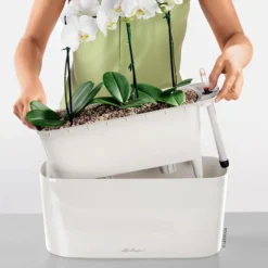 LECHUZA® Lechuza Pflanzgefäße & Töpfe|Pflanzkübel & Blumenkästen > DELTA, All-in-One-Set, hochglanz