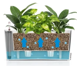 LECHUZA® Lechuza Tischgefäße|Lechuza Pflanzgefäße & Töpfe > DELTA, All-in-One-Set, matt