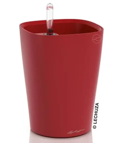 LECHUZA® Lechuza Tischgefäße|Lechuza Pflanzgefäße & Töpfe > DELTINI, All-in-One-Set, matt