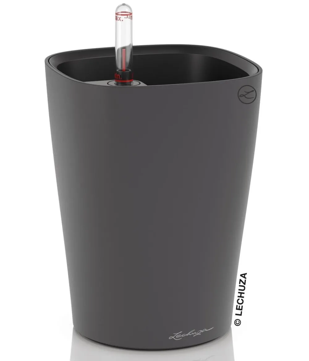 LECHUZA® DELTINI, All-in-One-Set, matt Dunkelgrau Hot