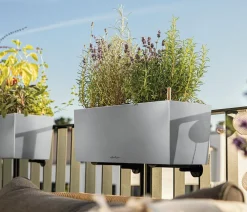 LECHUZA® Pflanzkübel & Blumenkästen|Lechuza Pflanzgefäße & Töpfe > Edelstahl-Kasten Balconcera Steel, rechteckig