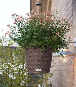 LECHUZA® Lechuza Pflanzgefäße & Töpfe|Blumenampeln & -Schalen > Kunststoff-Hängeampel Nido Cottage