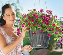 LECHUZA® Kunststoff-Hängeampel Nido Cottage Dunkelgrau Discount