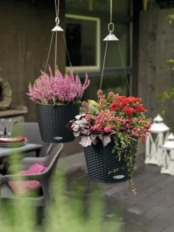 LECHUZA® Lechuza Pflanzgefäße & Töpfe|Blumenampeln & -Schalen - Kunststoff-Hängeampel Nido Cottage Schwarz