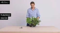 LECHUZA® Lechuza Pflanzgefäße & Töpfe|Blumenampeln & -Schalen - Kunststoff-Hängeampel Nido Cottage Schwarz