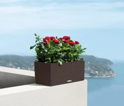 LECHUZA® Pflanzkübel & Blumenkästen|Lechuza Pflanzgefäße & Töpfe > Kunststoff-Kasten Balconera Cottage, rechteckig