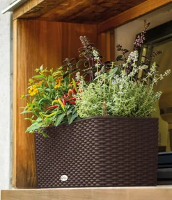 LECHUZA® Pflanzkübel & Blumenkästen|Lechuza Pflanzgefäße & Töpfe > Kunststoff-Kasten Balconera Cottage, rechteckig