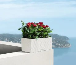 LECHUZA® Pflanzkübel & Blumenkästen|Lechuza Pflanzgefäße & Töpfe > Kunststoff-Kasten Balconera Cottage, rechteckig