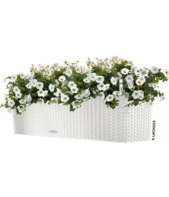 LECHUZA® Pflanzkübel & Blumenkästen|Lechuza Pflanzgefäße & Töpfe > Kunststoff-Kasten Balconera Cottage, rechteckig