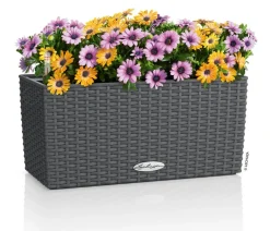 LECHUZA® Pflanzkübel & Blumenkästen|Lechuza Pflanzgefäße & Töpfe > Kunststoff-Kasten Balconera Cottage, rechteckig