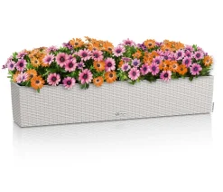 LECHUZA® Pflanzkübel & Blumenkästen|Lechuza Pflanzgefäße & Töpfe > Kunststoff-Kasten Balconera Cottage, rechteckig