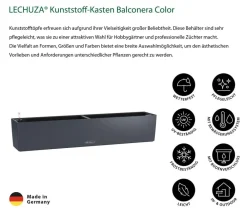 LECHUZA® Pflanzkübel & Blumenkästen|Lechuza Pflanzgefäße & Töpfe > Kunststoff-Kasten Balconera Color, rechteckig