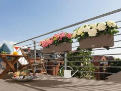 LECHUZA® Pflanzkübel & Blumenkästen|Lechuza Pflanzgefäße & Töpfe > Kunststoff-Kasten Balconera Color, rechteckig