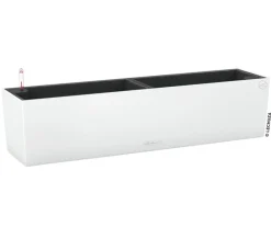 LECHUZA® Pflanzkübel & Blumenkästen|Lechuza Pflanzgefäße & Töpfe > Kunststoff-Kasten Balconera Color, rechteckig
