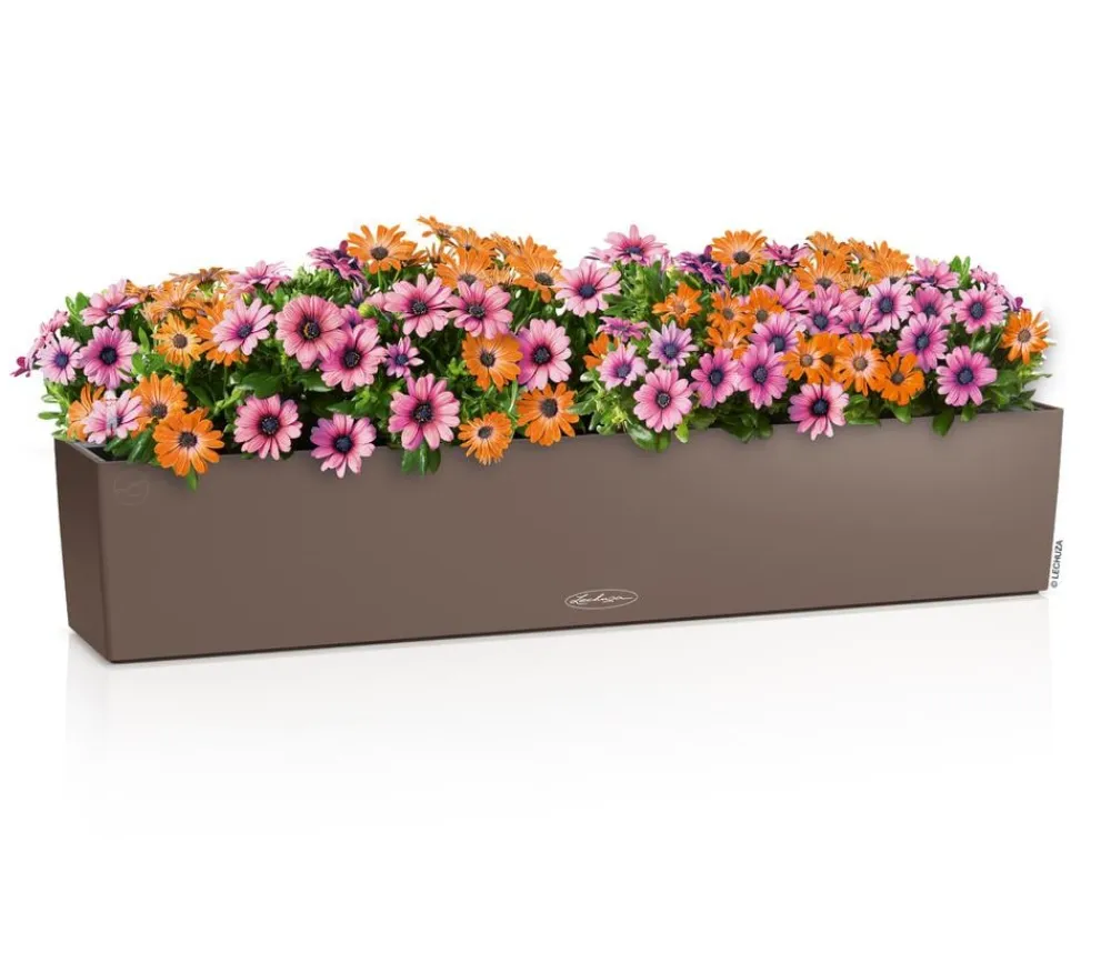 LECHUZA® Pflanzkübel & Blumenkästen|Lechuza Pflanzgefäße & Töpfe > Kunststoff-Kasten Balconera Color, rechteckig