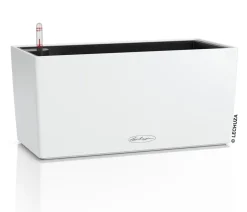 LECHUZA® Pflanzkübel & Blumenkästen|Lechuza Pflanzgefäße & Töpfe > Kunststoff-Kasten Balconera Color, rechteckig