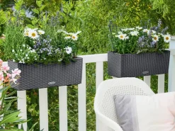LECHUZA® Kunststoff-Kasten Balconera Cottage, rechteckig Dunkelgrau