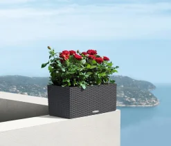 LECHUZA® Kunststoff-Kasten Balconera Cottage, rechteckig Dunkelgrau