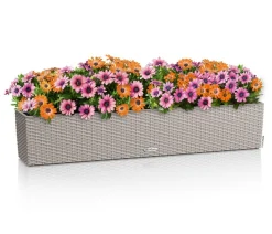 LECHUZA® Kunststoff-Kasten Balconera Cottage, rechteckig Creme Clearance