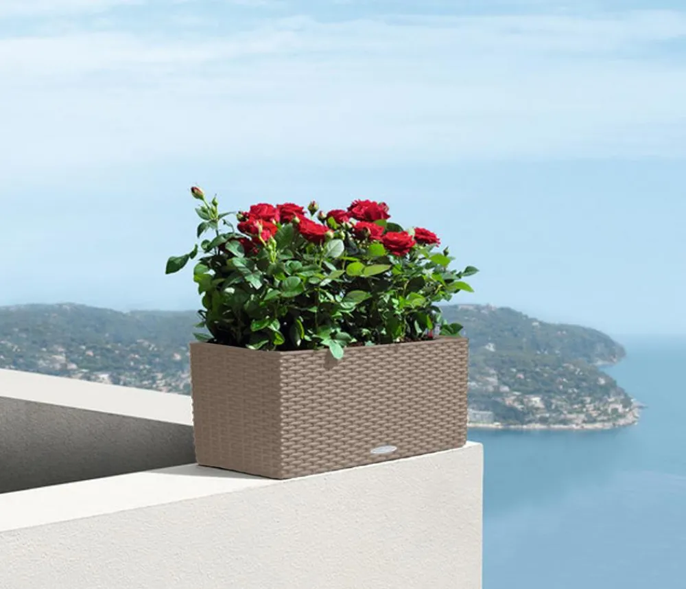 LECHUZA® Kunststoff-Kasten Balconera Cottage, rechteckig Beige Best