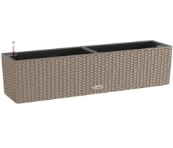 LECHUZA® Kunststoff-Kasten Balconera Cottage, rechteckig Beige Best