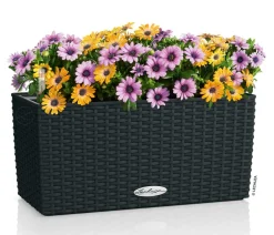 LECHUZA® Kunststoff-Kasten Balconera Cottage, rechteckig Schwarz