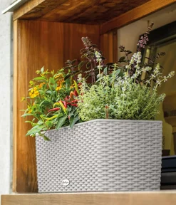 LECHUZA® Kunststoff-Kasten Balconera Cottage, rechteckig Hellgrau Best